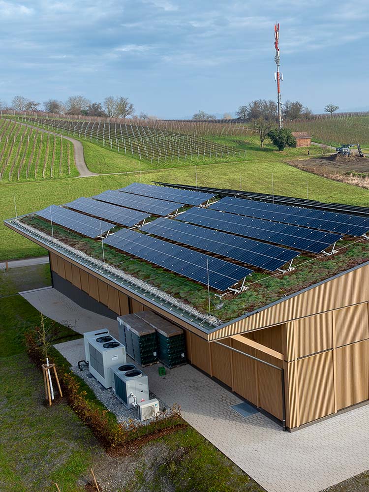 Neubau Produktionsgebäude und Kelter auf der Insel Reichenau in Holzbauweise mit PV‑Anlage und begrünter Dachfläche — Neubau, Kelter, Holzbauweise.