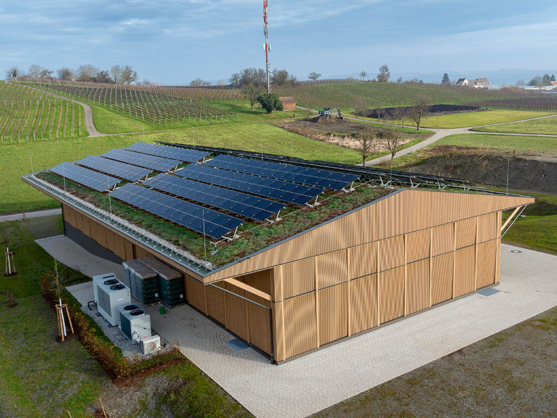 Luftaufnahme des Produktionsgebäudes des Winzervereins Insel Reichenau am Bodensee – moderner Holzbau mit Photovoltaikanlage auf begrüntem Dach.
